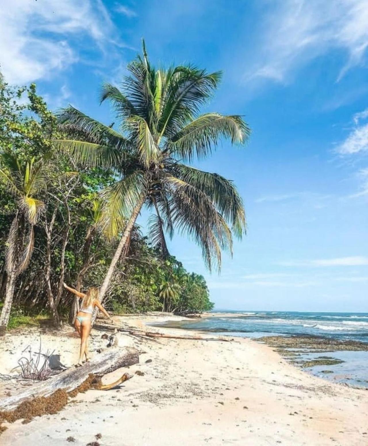 Casa Heliconia - Spacious, Big Garden, Close To The Beach Puerto Viejo de Talamanca المظهر الخارجي الصورة